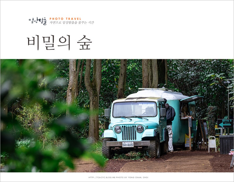 비밀의 숲