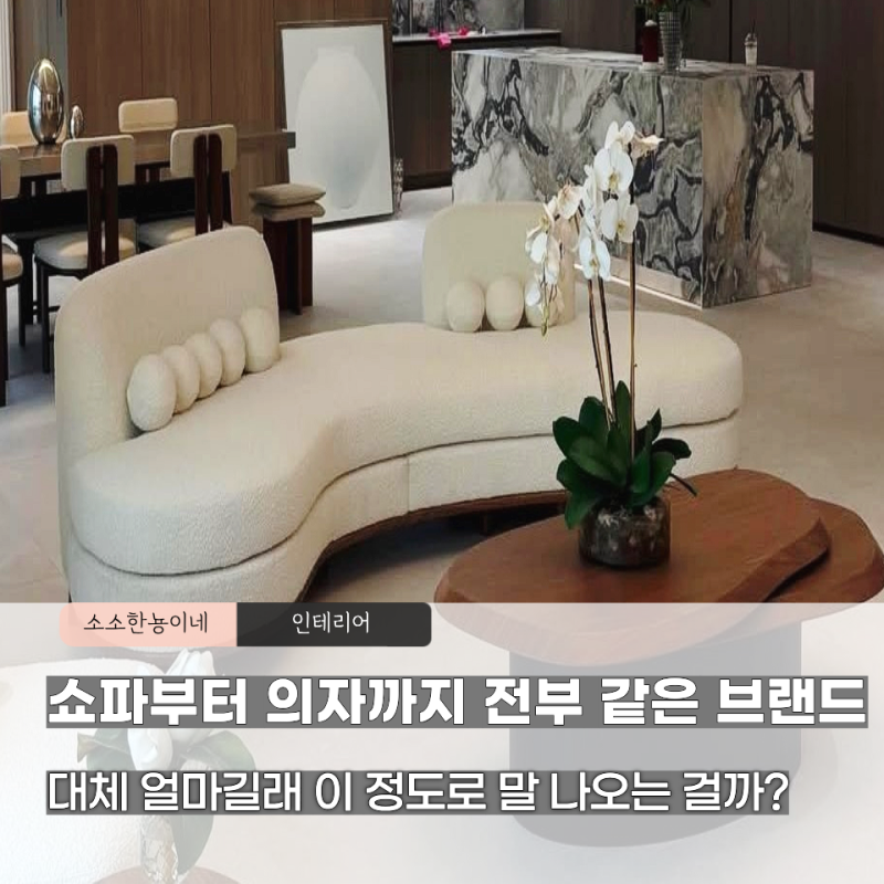 SNS에서 난리 난 이유, 아옳이 집 가구 브랜드 “가격 보고 두 번 놀람”