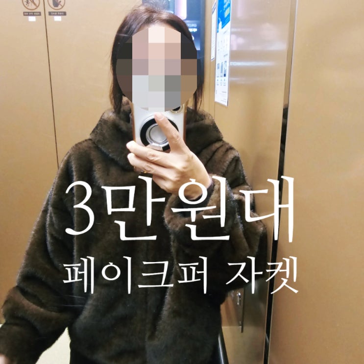  Faux 밍크 페이크퍼 자켓 / 만족스러운 3만원대 내돈내산 후기
