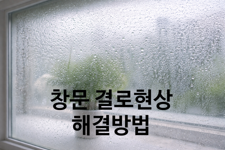 창문 결로현상 원인 해결 없애는법 관리방법