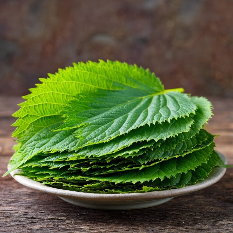 깻잎 효능 부작용, 하루에 몇 장?