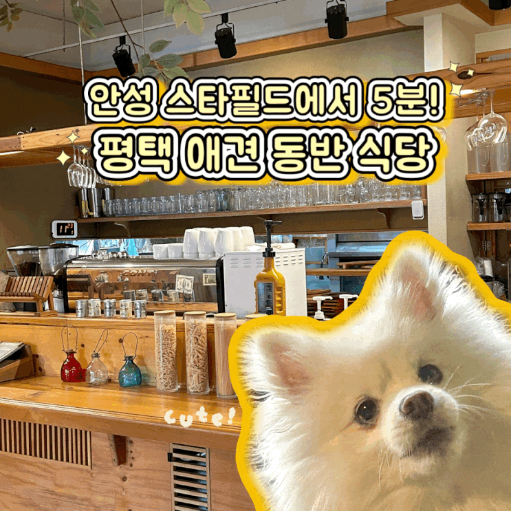  평택 안성 스타필드 근처  룸이 있는 애견 동반 식당 구떼쥬르