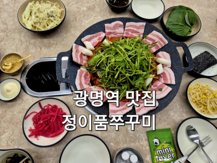  광명역 맛집 매콤함 끝판왕 정이품쭈꾸미 광명1호점 솔직후기