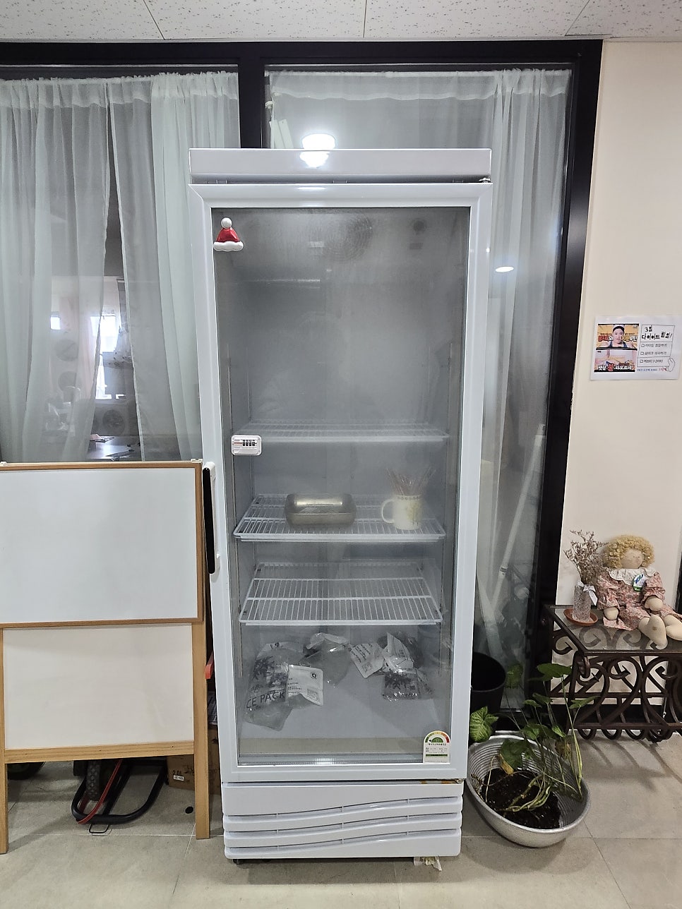 채미케키 사진 6