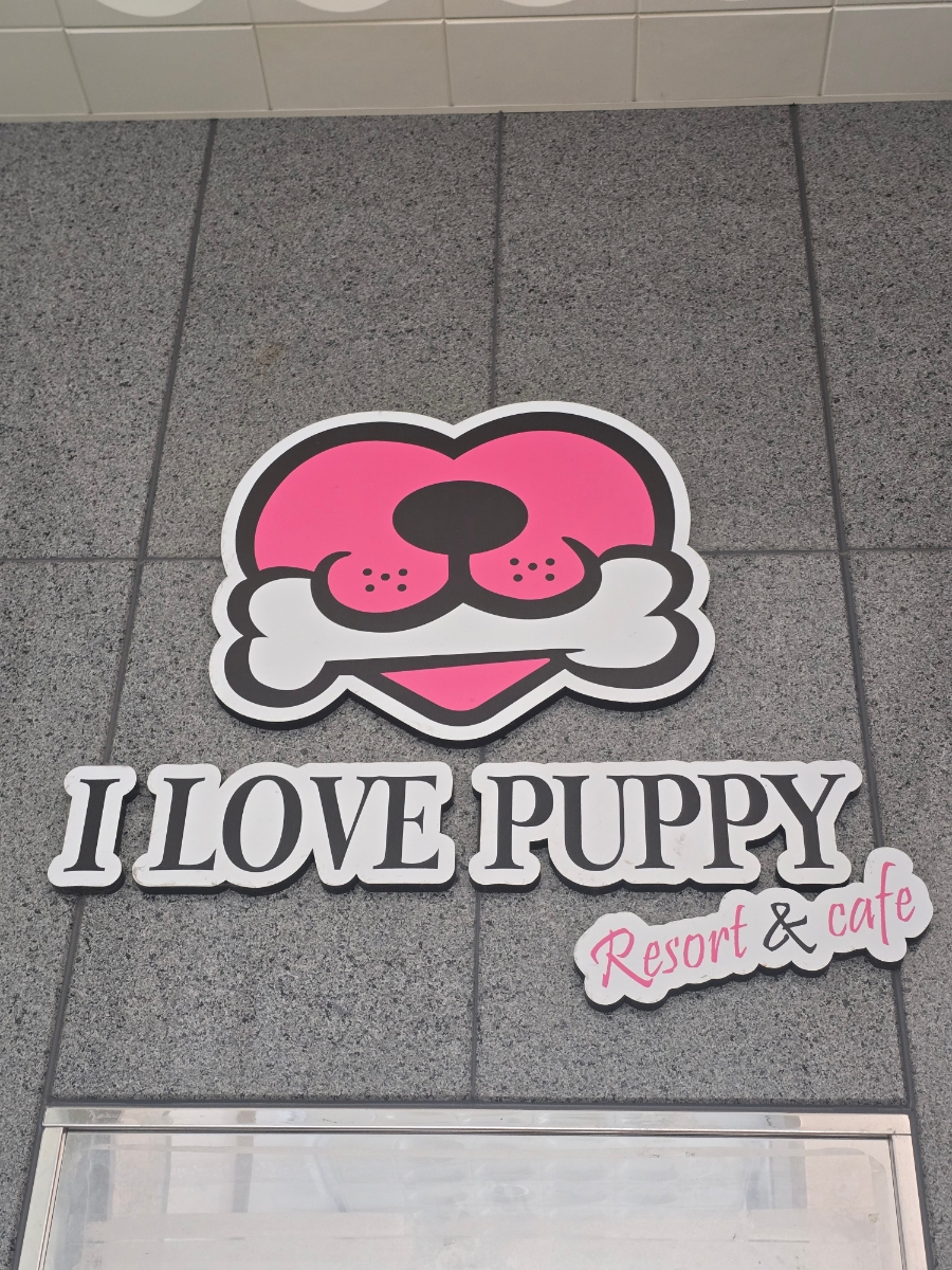 Aireobeupeopi Bonjeom photo 2