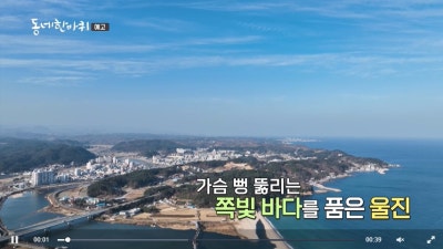사진 4