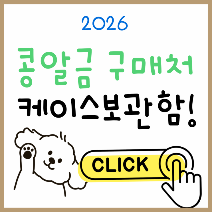  콩알금 구매처 총정리｜구매방법부터 오늘시세, 케이스 보관함까지