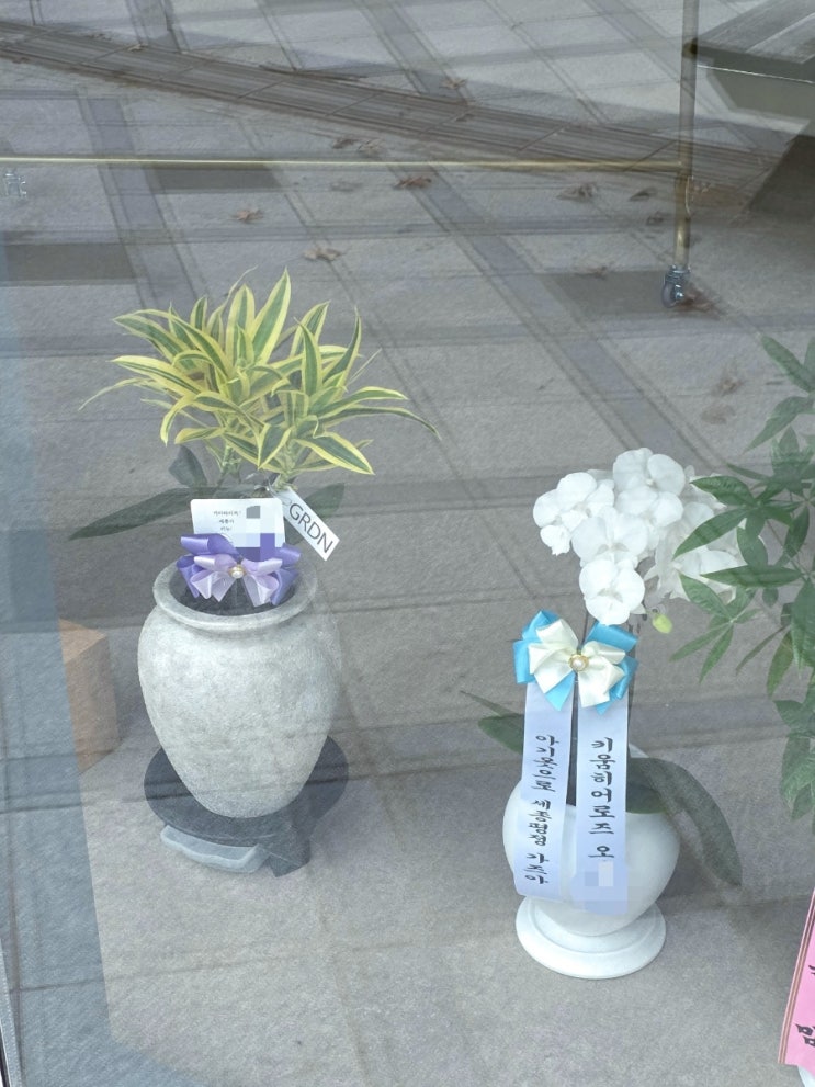 오선진, <b>이태양 야구선수</b> 개업 화분 ️  garden flower... 
