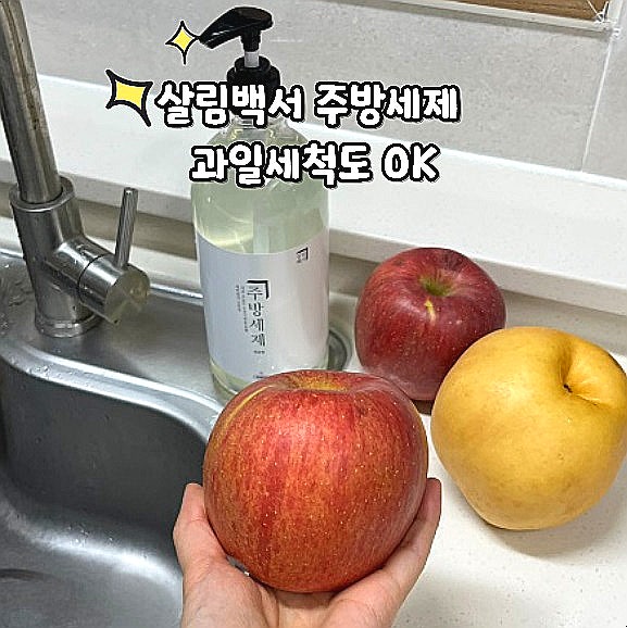  대용량 주방세제 살림백서 설거지세제 과일세척도 가능