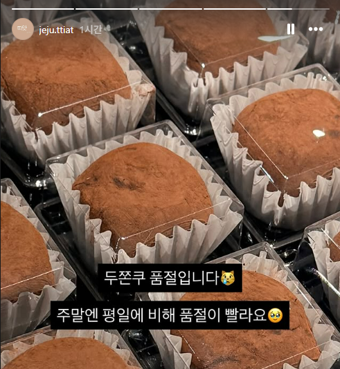 띠앗 사진 2