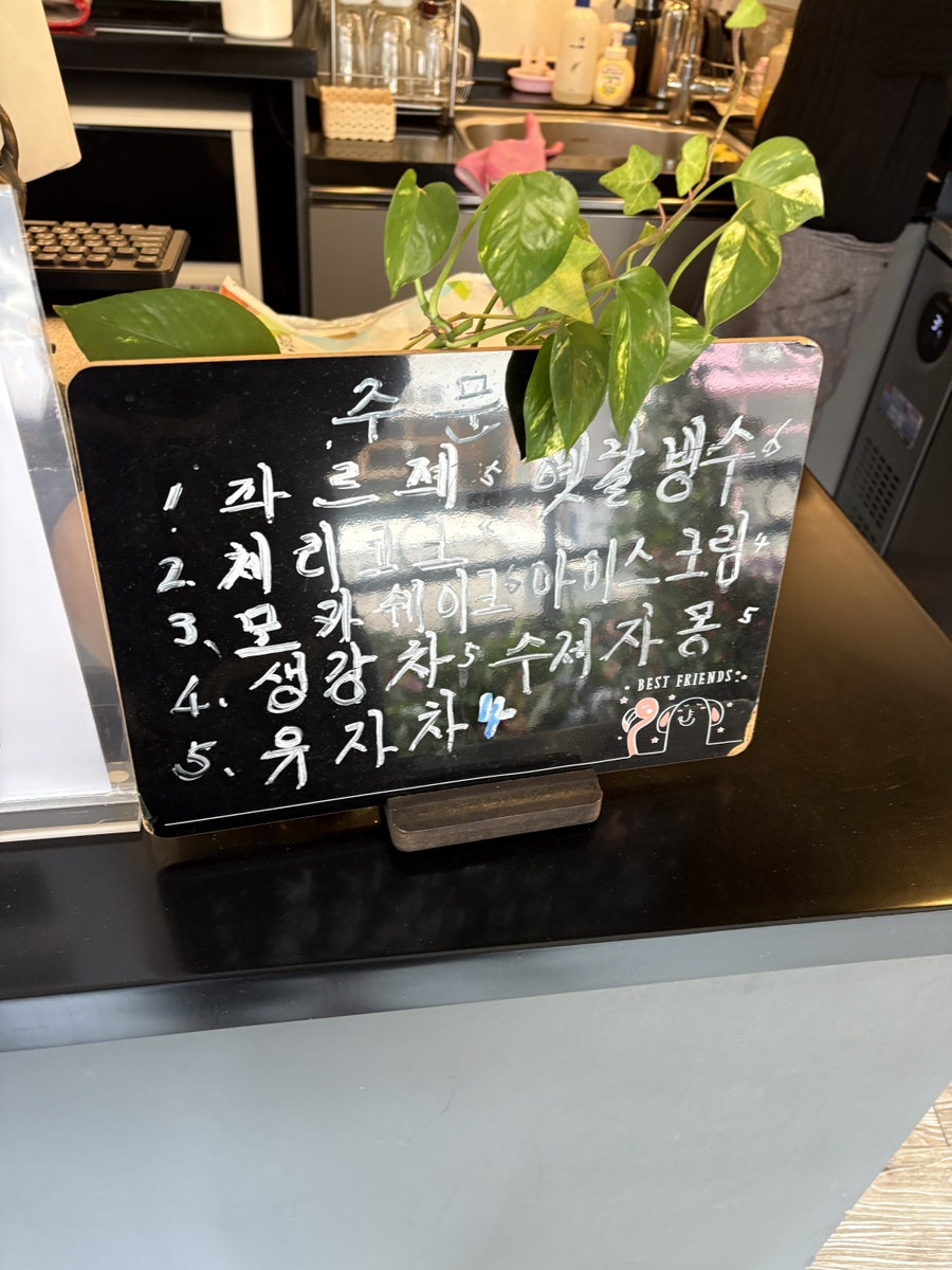 마메종 사진 4