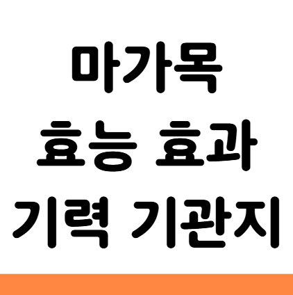  마가목 효능 효과 기력 기관지 부작용