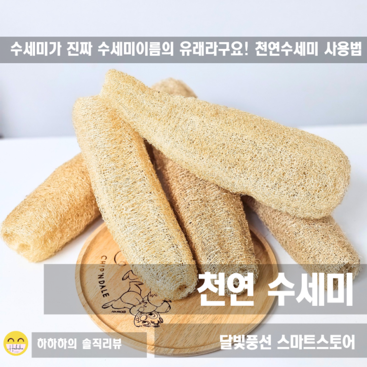  천연수세미 사용법 미세플라스틱없이 친환경 설거지 달빛풍선