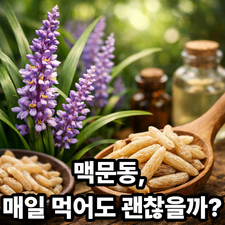   맥문동 장기 섭취해도 괜찮을까?｜매일 먹어도 되는지 기준 정리