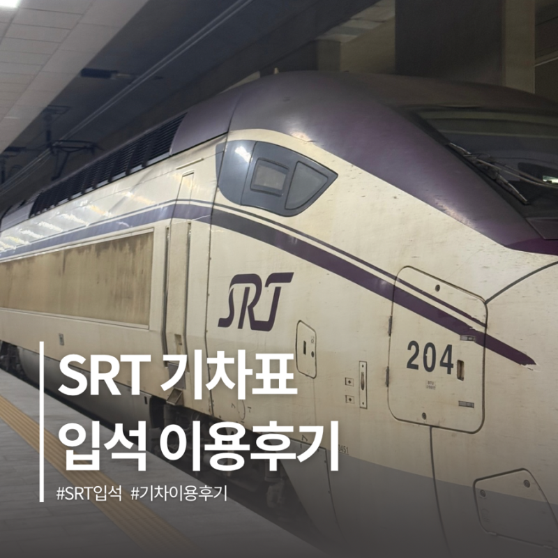 SRT 매진 예약 꿀팁 입석 연장 요금 이용후기