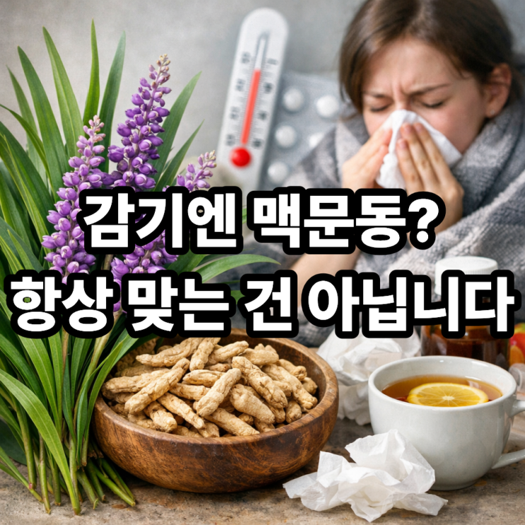   맥문동이 감기에 항상 좋은 건 아닌 이유｜먹기 전 꼭 알아야 할 포인트