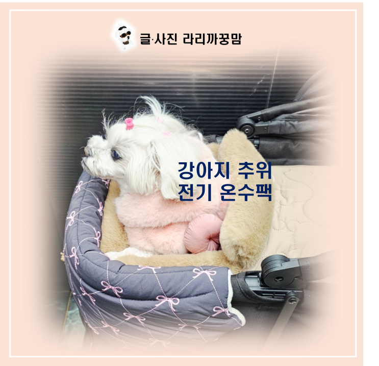  강아지 추위 이기는 유모차 온열 꿀조합
