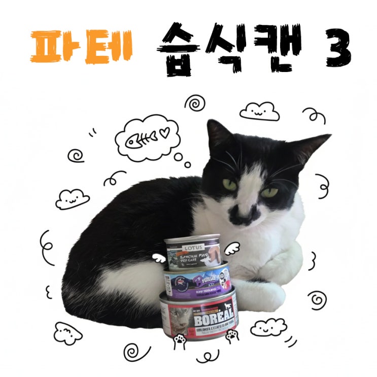  입짧은 고양이집에서 끝까지 살아남은 파테타입 습식캔 3가지