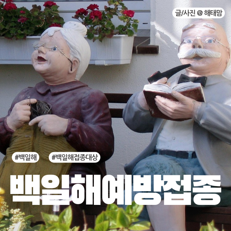 백일해 예방접종 가족 남편 시댁 시기는 언제