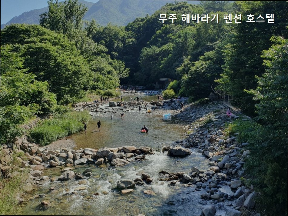 무주해바라기펜션&호스텔 사진 3