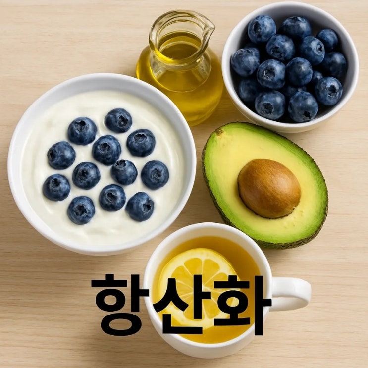  아침 요거트·블루베리·올리브오일·아보카도·레몬차, “항산화”는 결국 뭘 바꾸는 걸까?