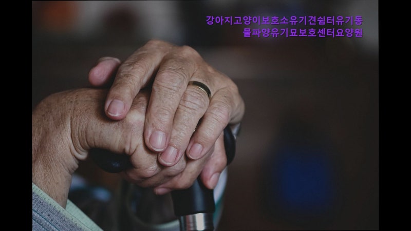 사진 6