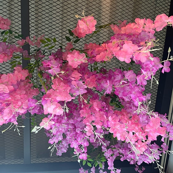 폴몬트 사진 6