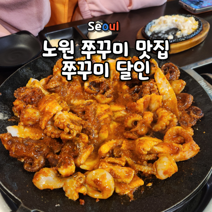 노원 쭈꾸미 어디가 맛있을까? 동네 주민이 계속 찾는 쭈꾸미달인 솔직 후기