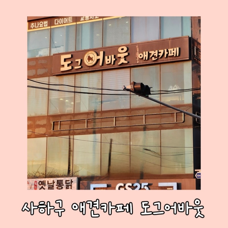 사진 4