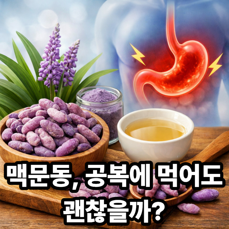   맥문동을 공복에 먹어도 될까?｜공복 섭취 괜찮은 경우 vs 피해야 할 경우
