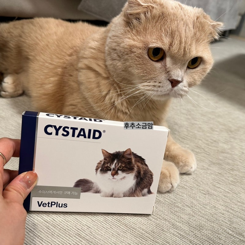 벳플러스 시스테이드(고양이방광염 고양이sub수술보조제 인공요관우회술 보조제 vetplus cystaid....
