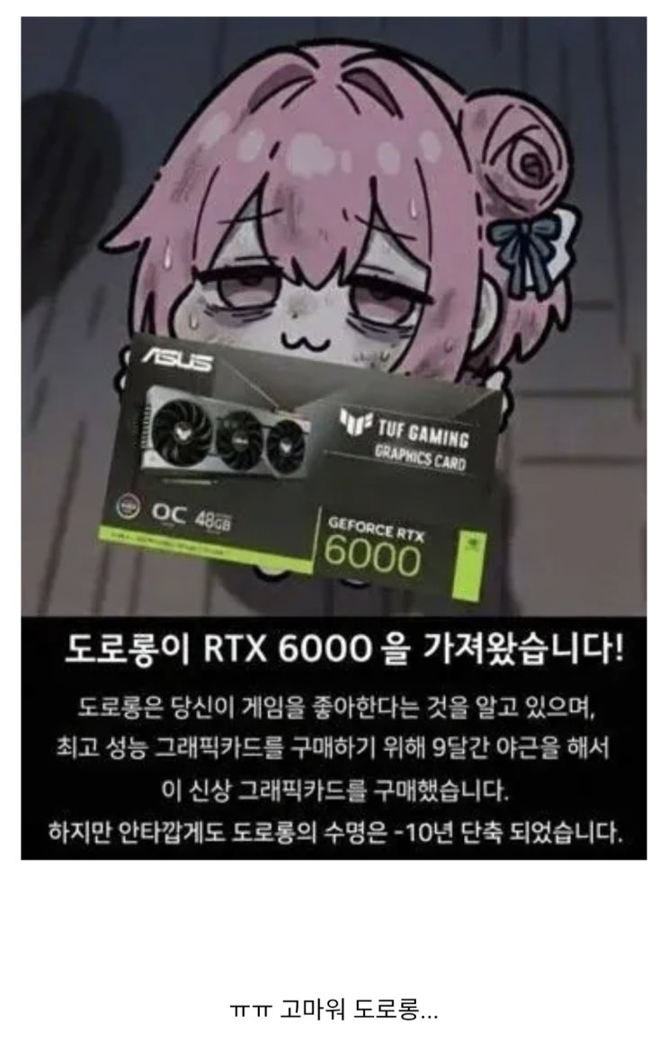  도로롱이 당신을 위해 그래픽 카드를 가져왔습니다!