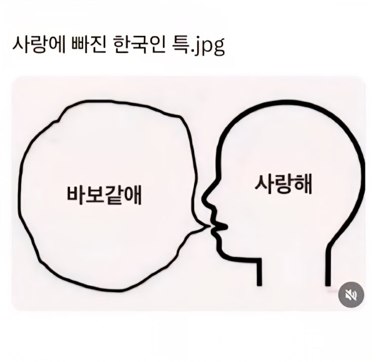 [발더스 게이트3] 바보같애 !!!!!!!!!!!!!!!