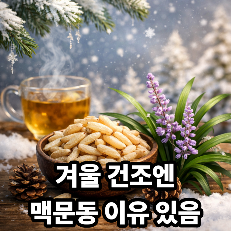  ️ 겨울철 건조할 때 맥문동이 좋은 이유｜이 계절에 찾는 데엔 이유가 있습니다