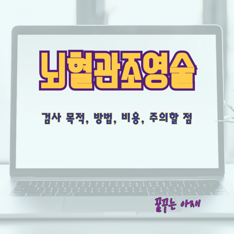 뇌혈관조영술 검사 목적, 방법, 비용, 주의할 점