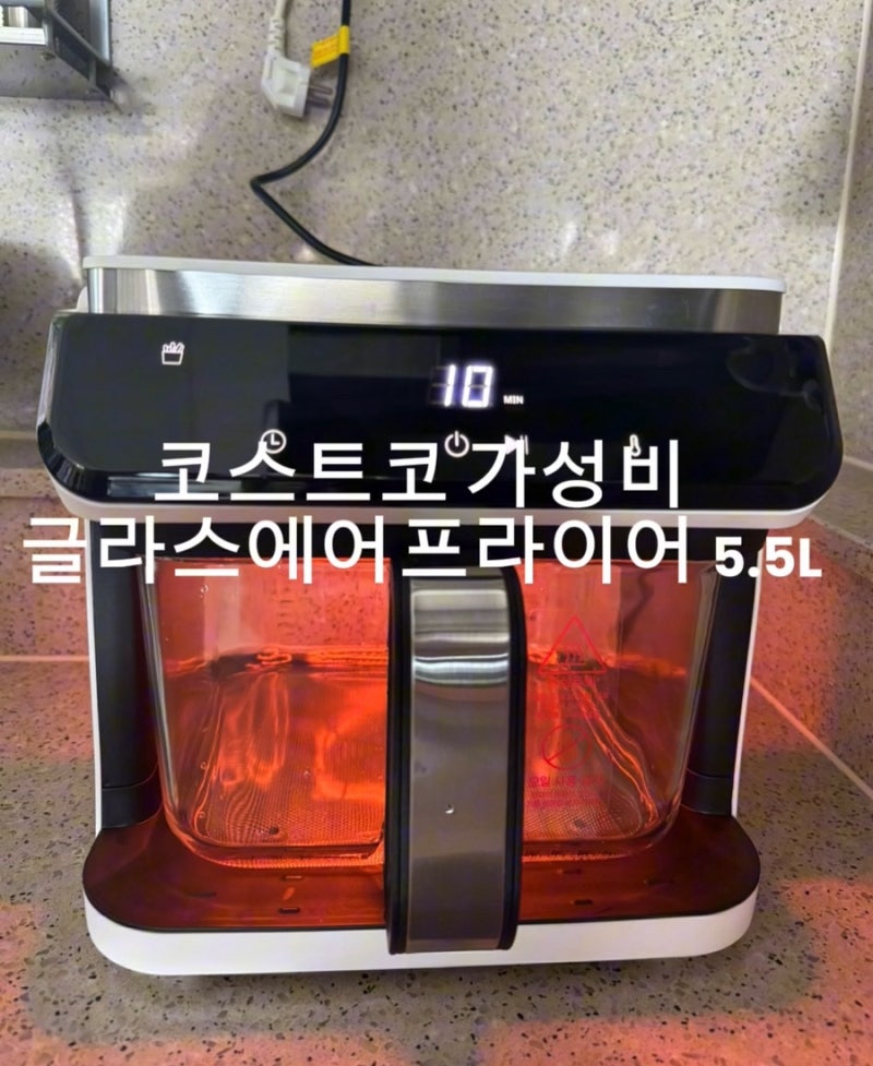 코스트코 긱글라스 에어프라이어 5.5L 리뷰/가성비 에어프라이어추천