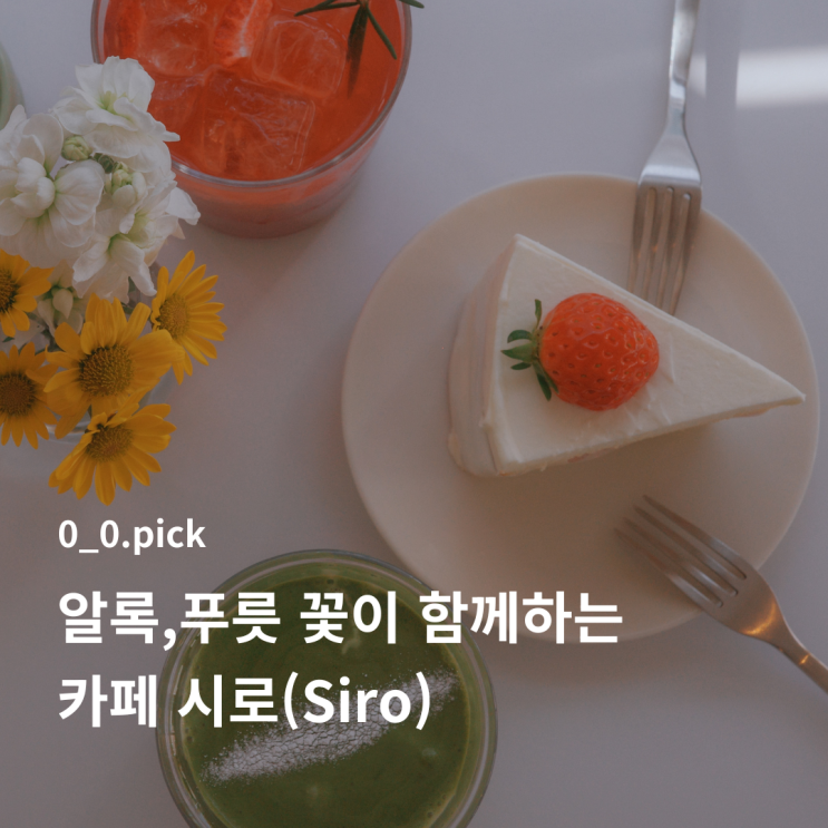  울산 달동 디저트 맛집 시로, 생화 가득한 공간에서 맛본 딸기케이크