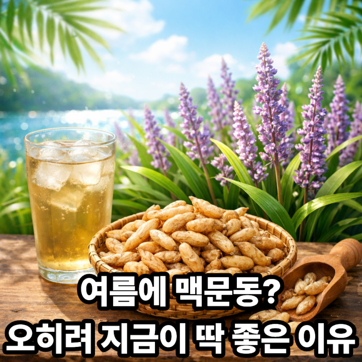  여름에 맥문동 먹어도 될까? 더위에 좋은 섭취법까지 정리