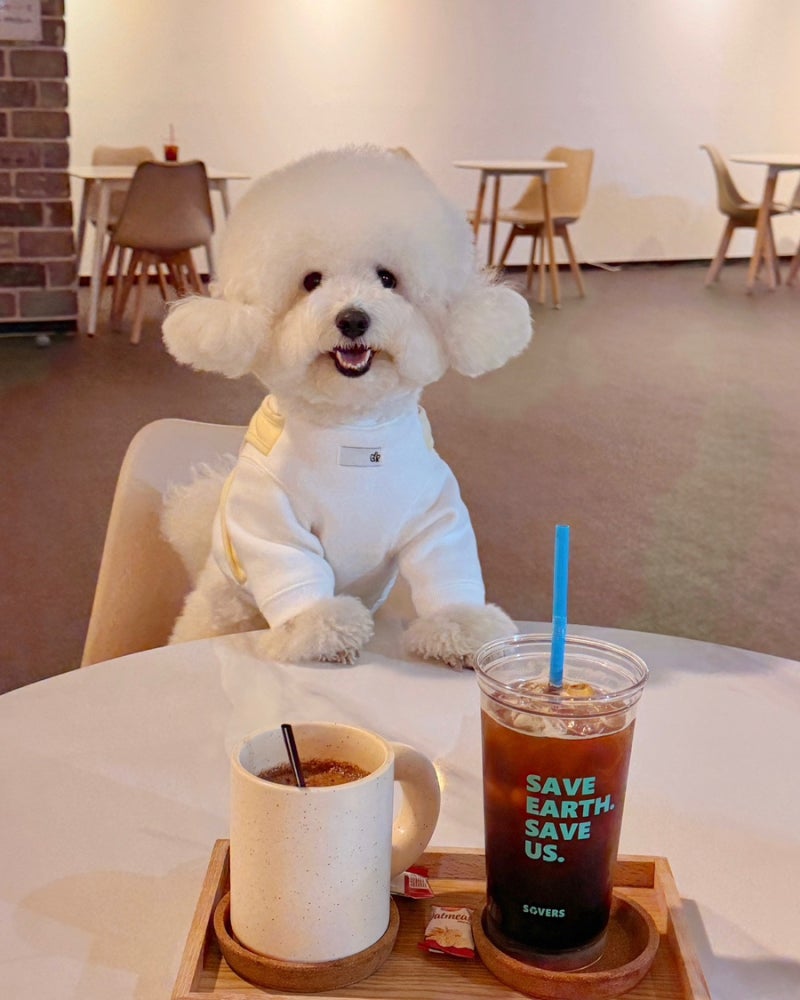 카페더공생