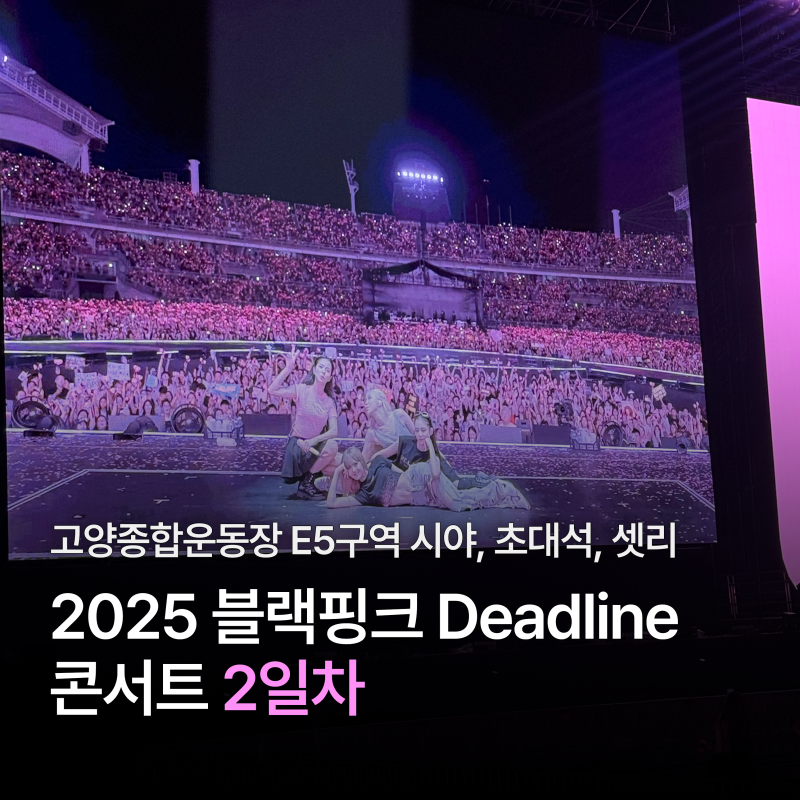 2025 BLACKPINK DEADLINEコンサート2日目：高陽総合運動場E5区域からの眺め、招待席、セットリスト