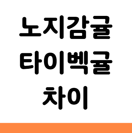  노지감귤 타이벡귤 차이 보관