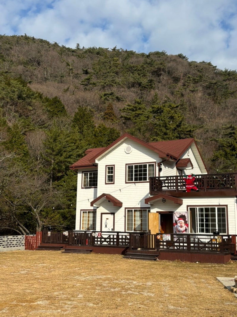 사진 3