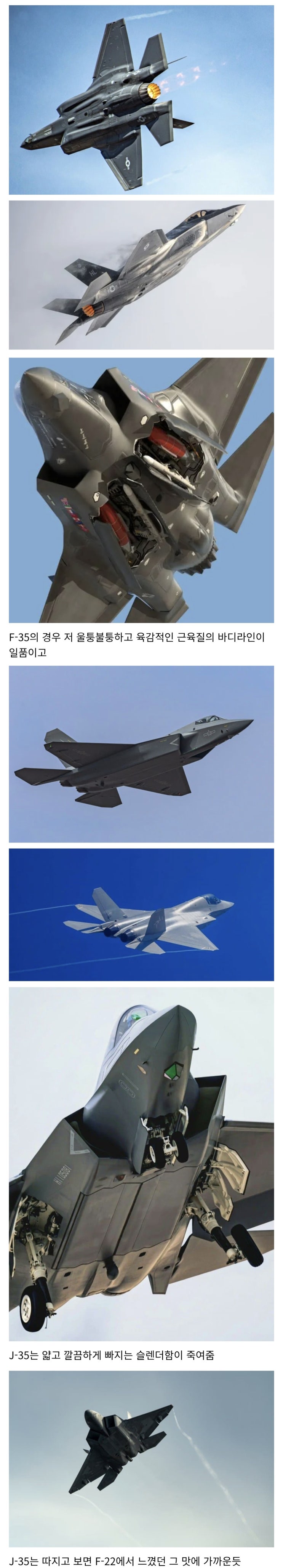  F-35와 J-35는 서로 매력 포인트가 서로 다르다.