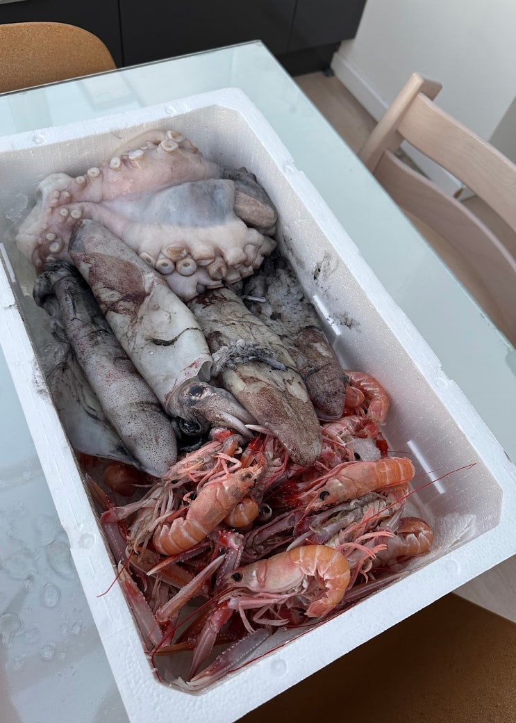  크로아티아 리에카 수산시장 회 먹기