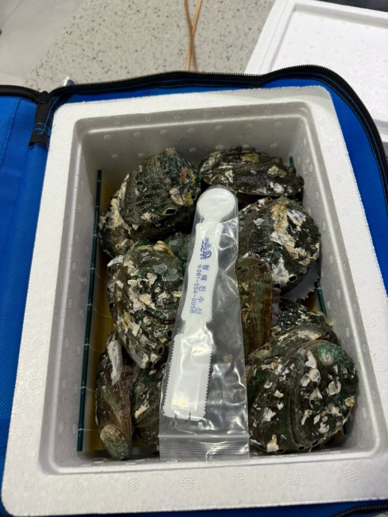 퉁퉁 부은 손으로 생애 처음 해본 전복손질 (전복 쉽게 손질하는 법+냉동보관법)