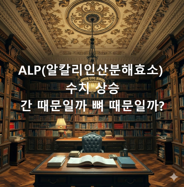  ALP(알칼리인산분해효소) 수치 상승, 간 때문일까 뼈 때문일까?