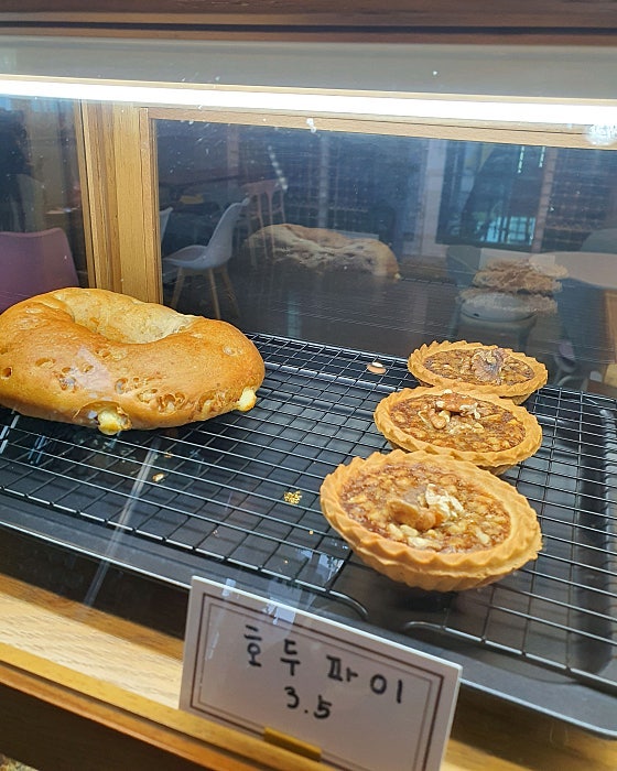 아리아 사진 5