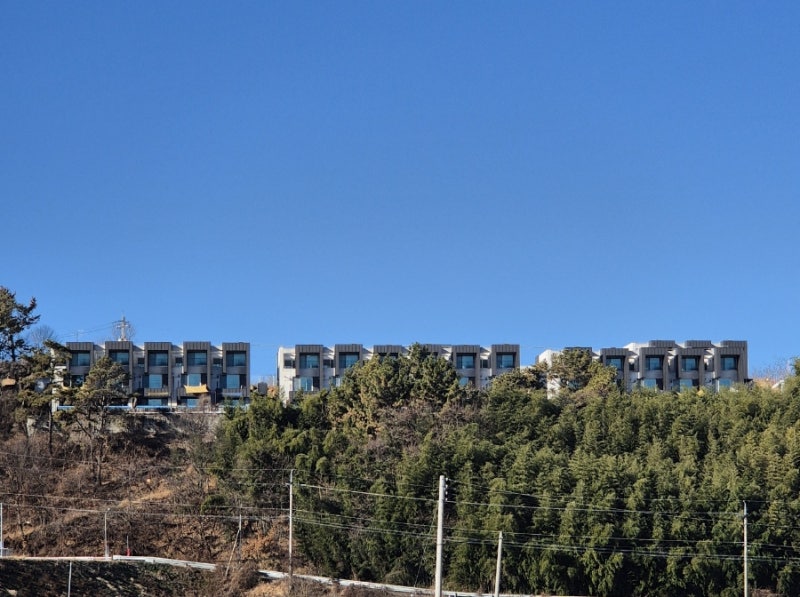 사진 5