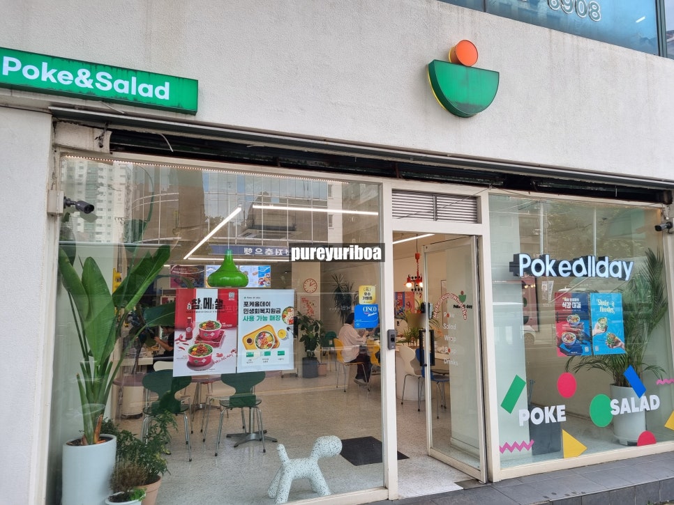 포케올데이 주안점 사진 2