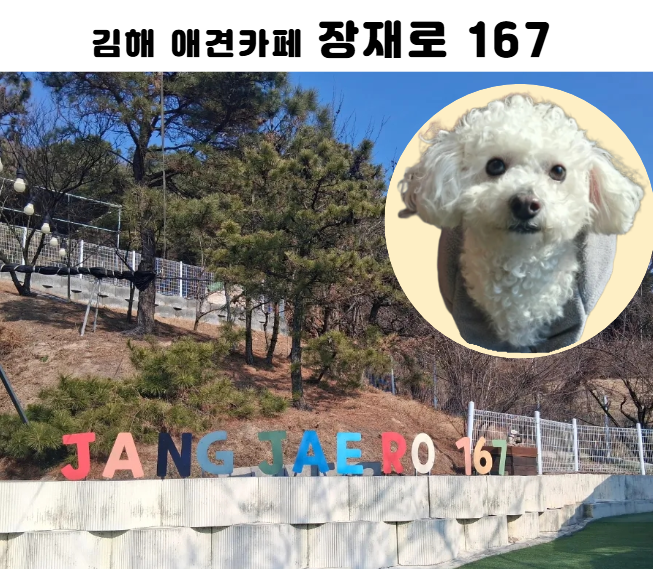 사진 5